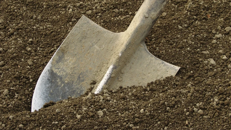 spade