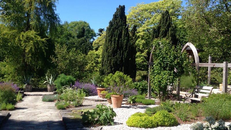 DBW:s botaniska trädgård i Visby