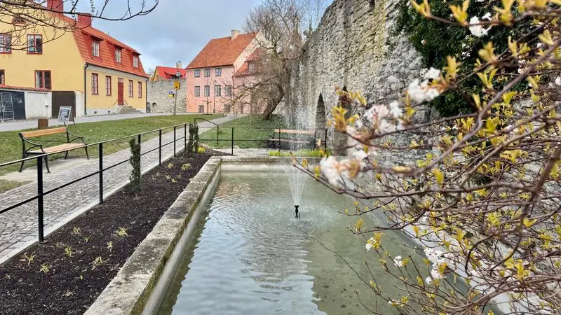 Garveridammen, fiskdammen, ringmuren, Tage Cervinsgata, 