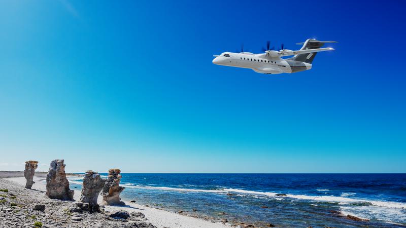 Ett elflyg flyger in över Gotlands raukar vid kusten.