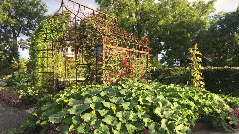 Pergola i botaniska trädgården