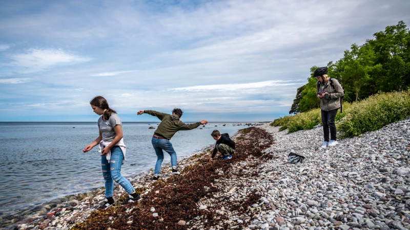 En grupp människor står på en stenstrand och kastar sten i havet.