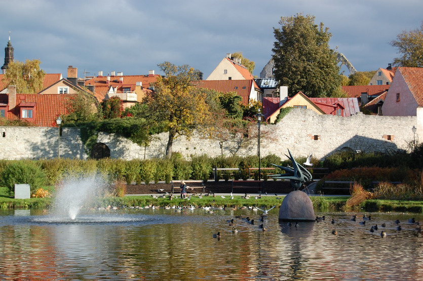 Solfågel