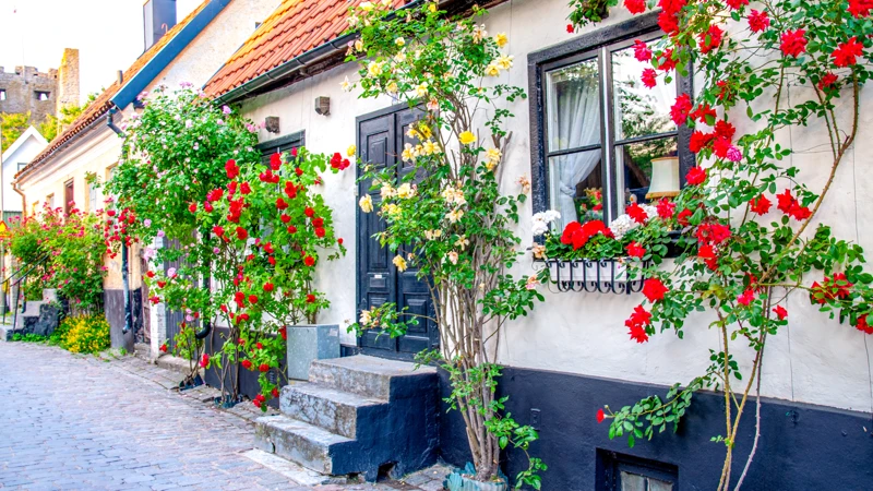 En byggnad med en massa blommor som växer på den.
