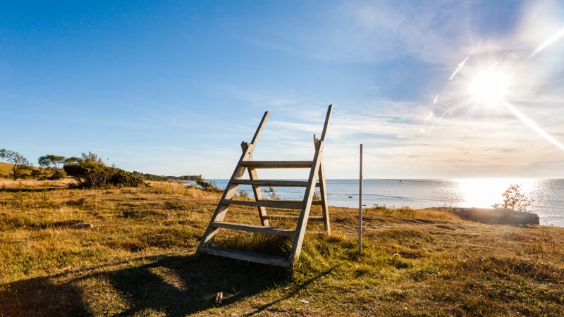 natur i solnedgång