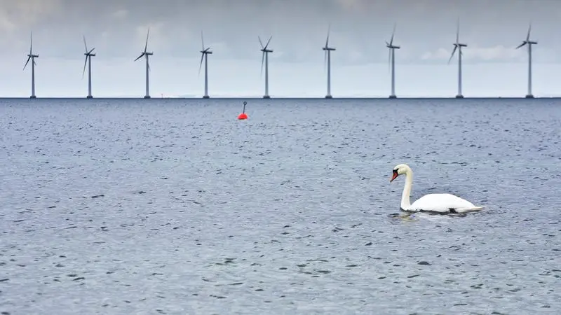 Vindkraftverk till havs