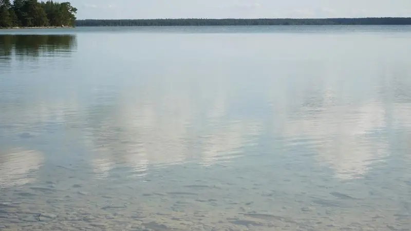 Fiskar simmar i sjö.