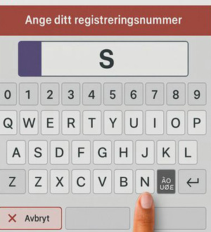 P-automat manual