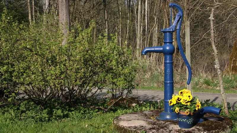 En blå vattenpump med gula blommor i en kruka på marken