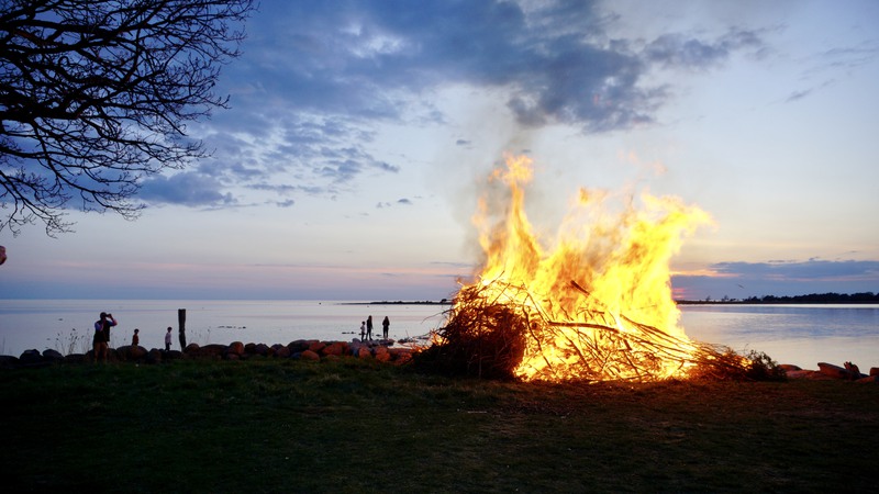 Majbrasa vid strandkanten