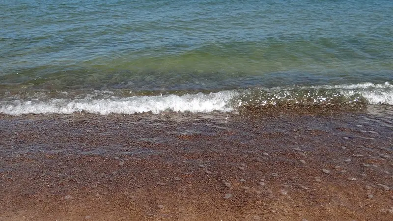 Vågskvalp på sandstrand