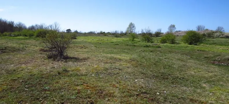 Naturreservat Södra Hällarna
