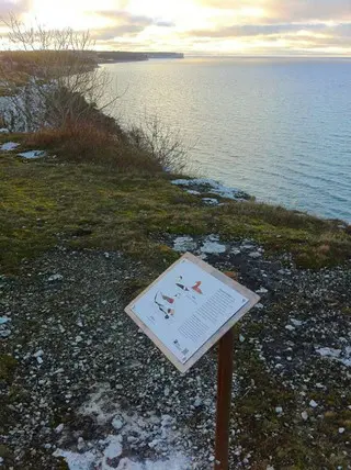 Naturreservat Södra Hällarna