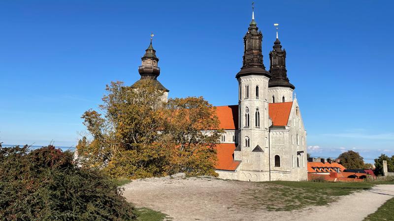 Klintkanten, buskar, Domkyrkan