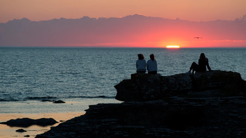 En grupp människor som sitter på en klippa vid havet på Fårö.