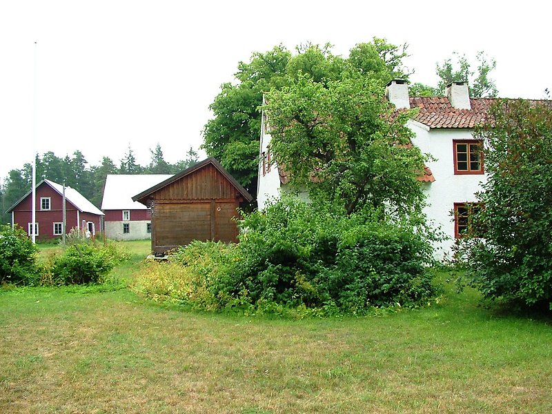 Flertal byggnader och en bevuxen trädgård.