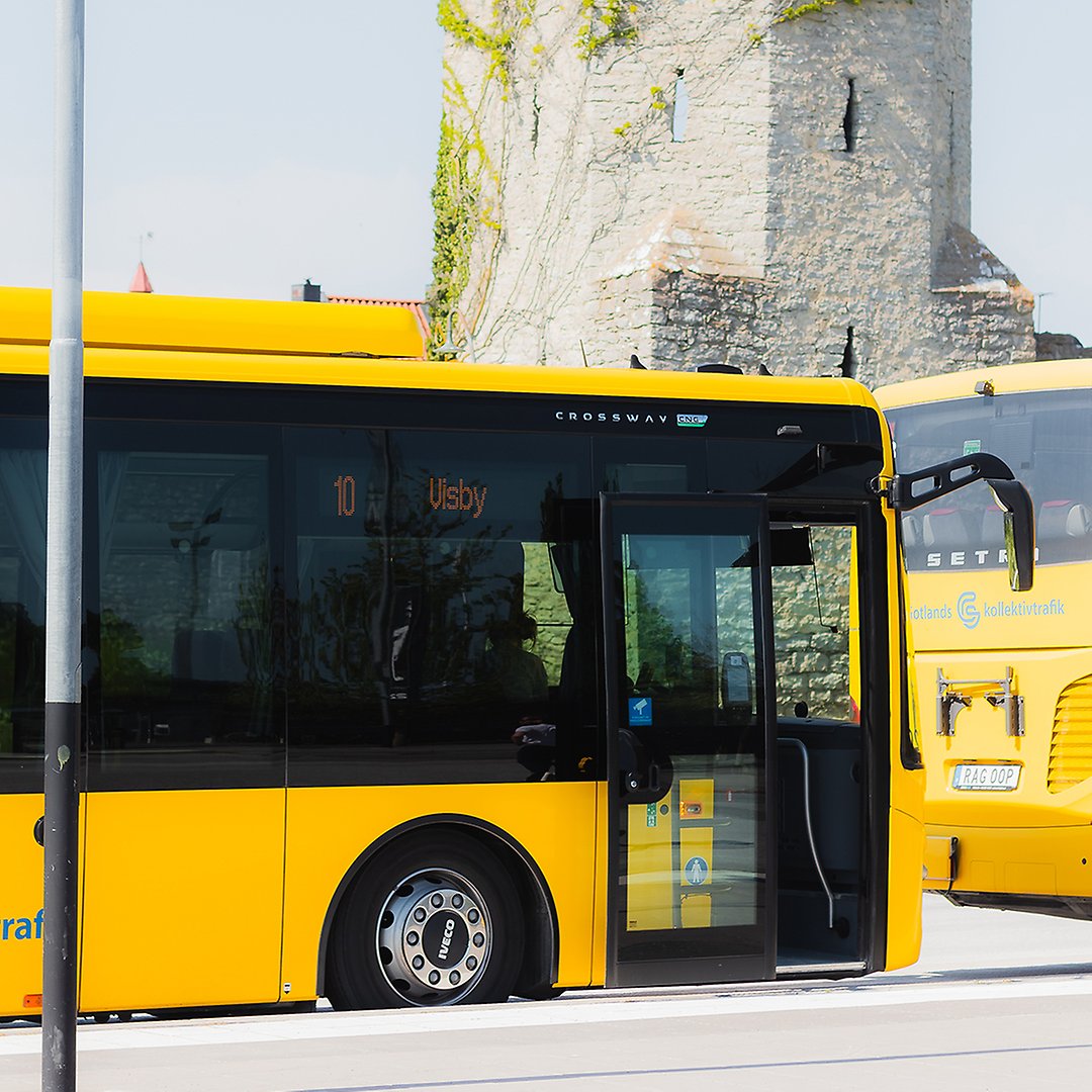 gula bussar framför Visby ringmur
