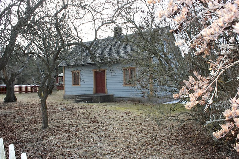 Blå stuga och blommande träd på höger sidan