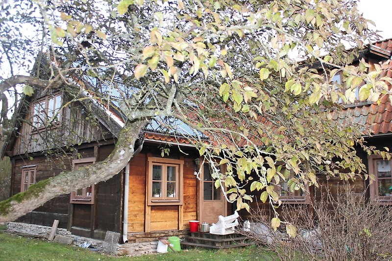 Ett trähus med bruna fönster, brun ytterdörr och ett orange plåttak med solceller.