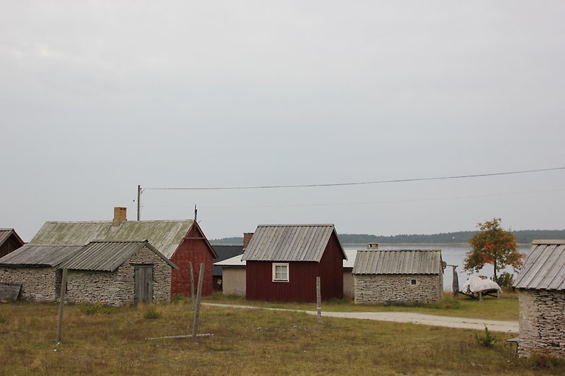 Flertal fiskebodar med fiskeläge i Fårö.