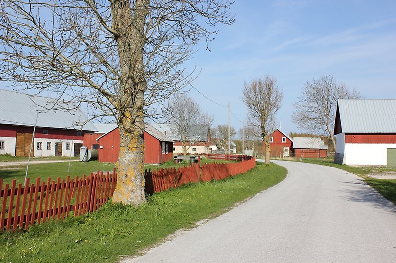 Flera röda hus, ett rött staket och en bilväg.
