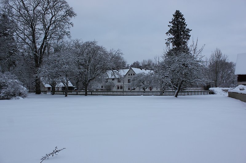 En gårdsmiljö under vintertiden.